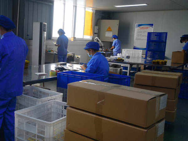 哪里有膏藥加工廠？膏藥貼牌廠家哪家好？